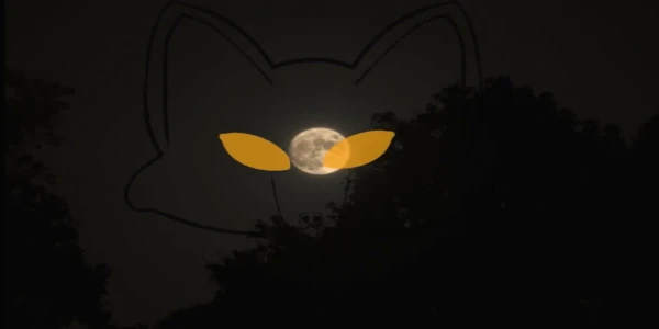 Werewolves in Idaho banner: An silhouette of a wolf head on a dark background, The head has an grey outline and a pair of bright yellow eyes.